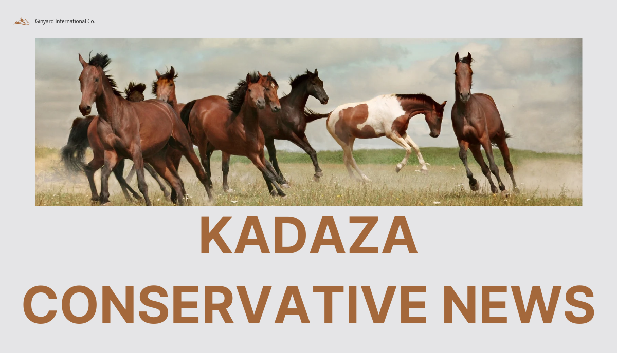 Kadaza Conservative News