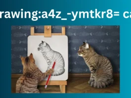 Drawing Cats