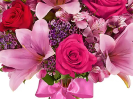 sweet flower