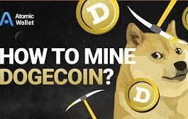 doge miner