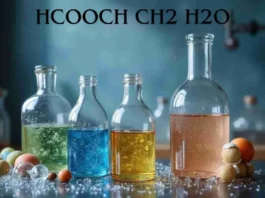HCOOCH CH2 H2O